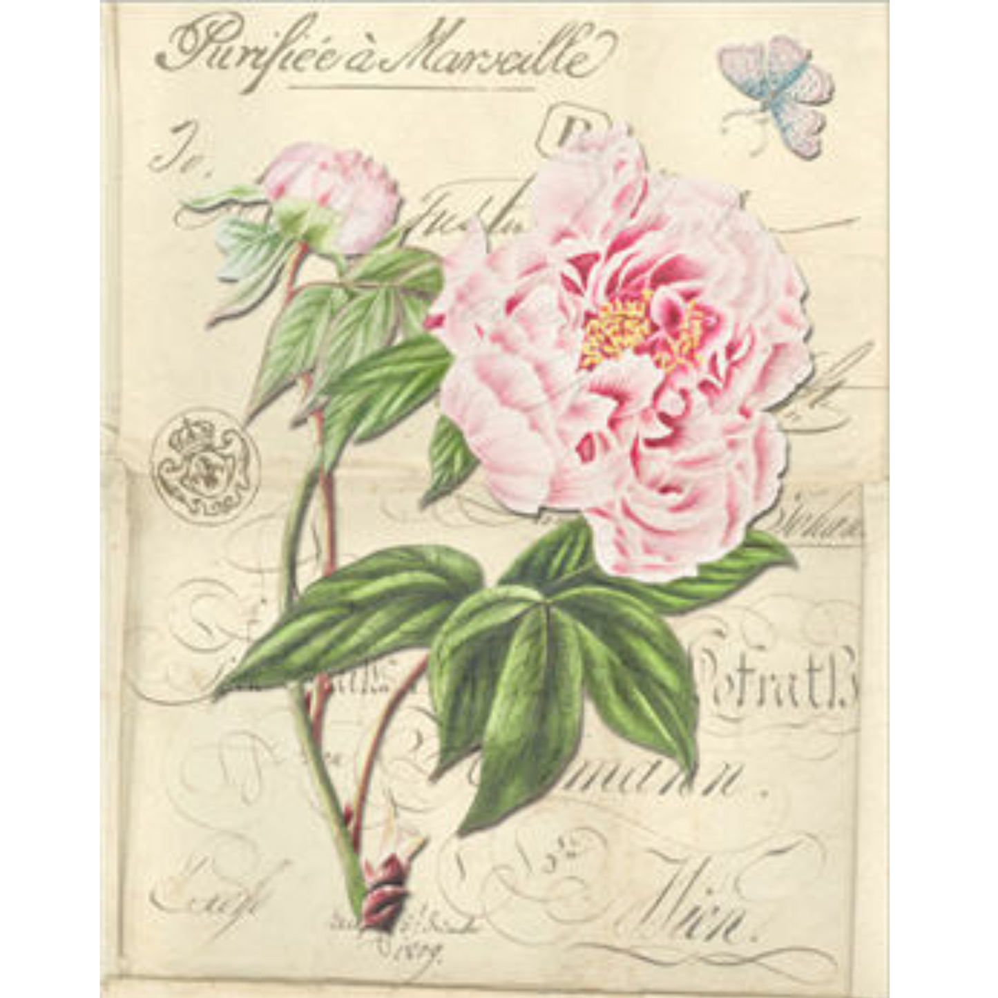 "Botanical 127" decoupage paper by Monahan Papers. 11" x 17" available at Milton's Daughter.