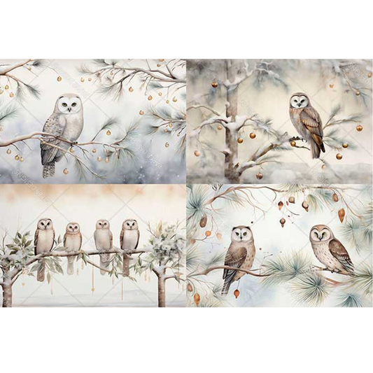 "Four Owl Scenes" decoupage rice paper by Paper Designs. Available at Milton's Daughter.