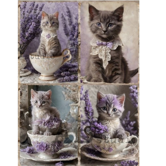 "Four Kittens Lavender Themed in Teacups" decoupage rice paper by AB Studio. Available at Milton's Daughter.