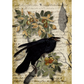 "Raven Grimoire II" decoupage rice paper by Decoupage Queen. Available at Milton's Daughter.