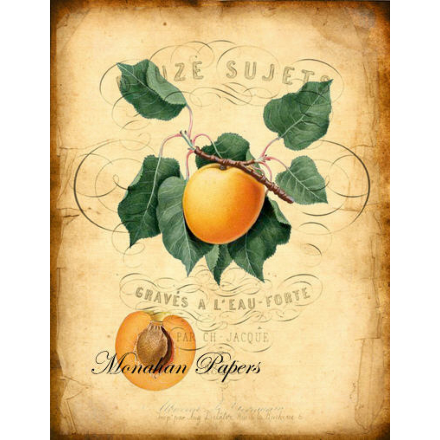 "Graves A'Leau Forte Peaches" decoupage paper by Monahan Papers.  11" x 17" available at Milton's Daughter.