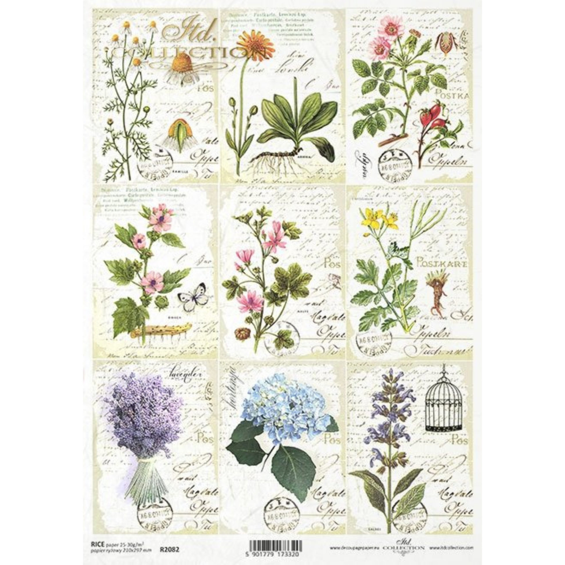 "Mini Herbal Cards-Hydrangeas" decoupage rice paper by ITD Collection available at Milton's Daughter.