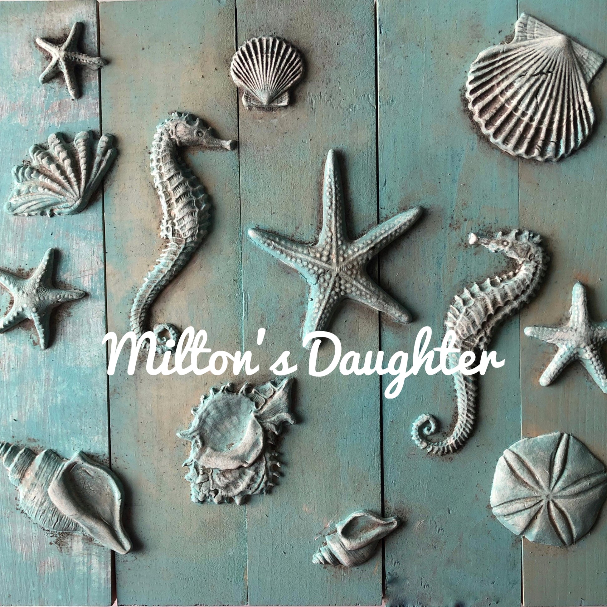 IOD Seashells Mold castings on wood, includes scallop, starfish, conch shell, oyster shell, sea horses at Milton's Daughter